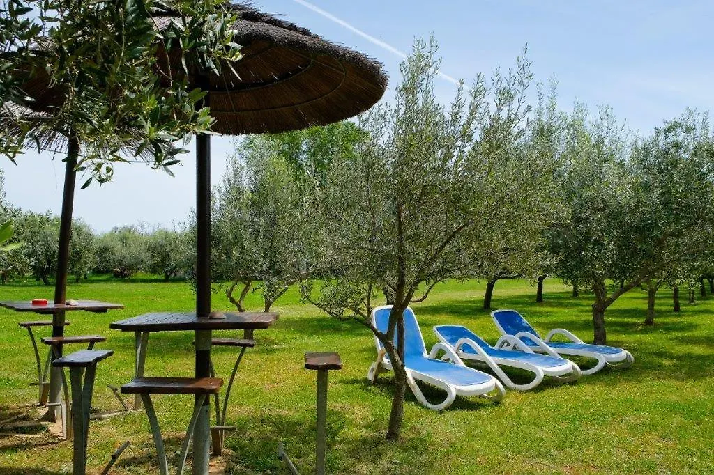 Uliveto Apartment Fažana Kroatien
